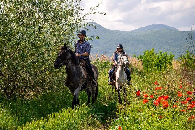 Half-Day of Horseback Adventure with Wine Tasting - A Detailed Look at the Half-Day Horseback Adventure with Wine