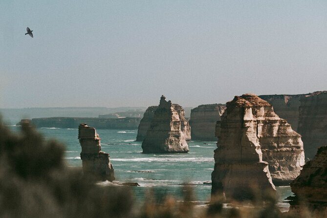 Half-Day or Full-Day Tour with Private Guide from Melbourne - In-Depth Look at the Tour Experience