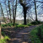 Half-Day Paradise Valley Walking Tour - Who Is This Tour Best For?