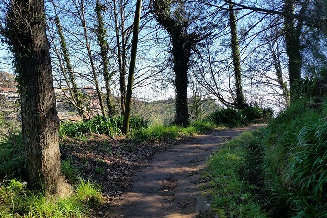 Half-Day Paradise Valley Walking Tour - Who Is This Tour Best For?
