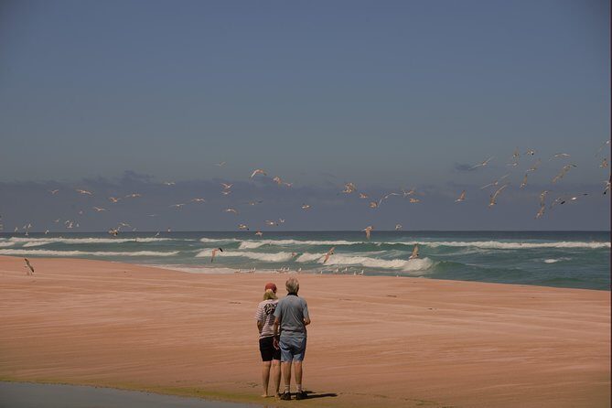 Half-Day Pemberton National Parks Beach and Forest Eco Adventure - The Sum Up