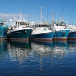 Half-Day Perth Mint Live Gold Pour & Historic Fremantle Tour - Final Thoughts: Is It Worth It?