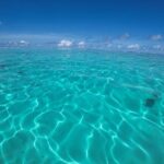 Half Day Private Boat Snorkeling Excursion Moorea - FAQs