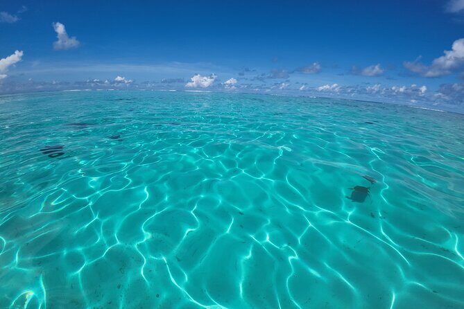 Half Day Private Boat Snorkeling Excursion Moorea - FAQs