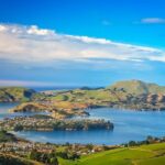 Half-Day Private City, Sights & Wildlife Tours - A Deep Dive into the Dunedin Experience