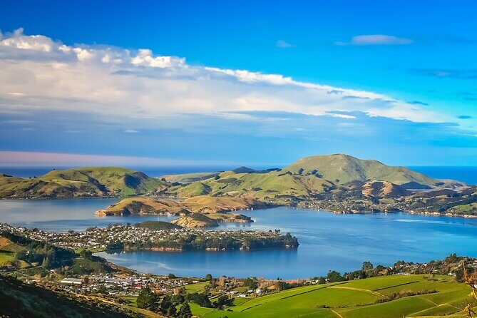 Half-Day Private City, Sights & Wildlife Tours - A Deep Dive into the Dunedin Experience