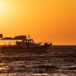 Half Day Private Cruise from Pollonia to Polyaigos - Who Would Love This Experience?