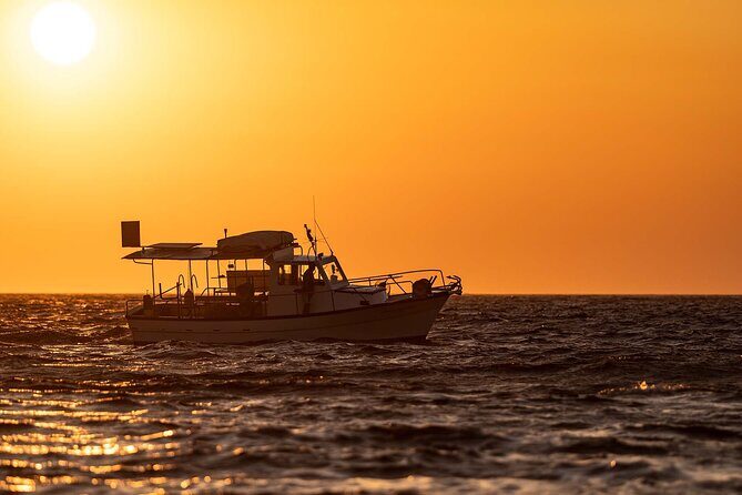 Half Day Private Cruise from Pollonia to Polyaigos - Who Would Love This Experience?