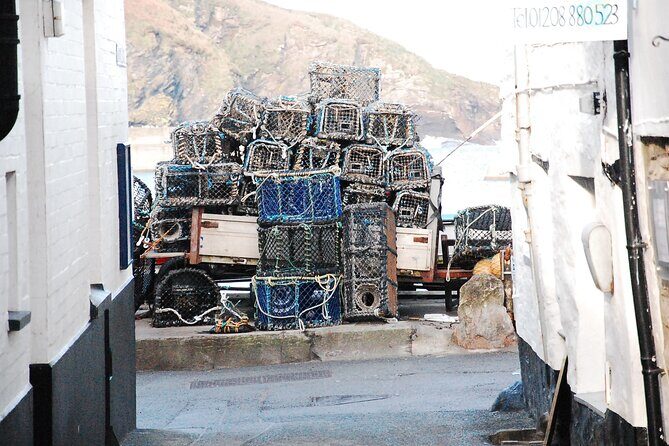 Half-Day Private Doc Martin and Fisherman's Friends Tour - FAQ