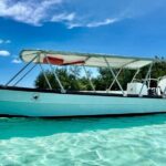 Half Day / Private Lagoon Adventure in Mo'orea - An In-Depth Look at the Lagoon Adventure in Mo’orea
