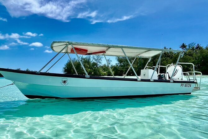 Half Day / Private Lagoon Adventure in Mo'orea - An In-Depth Look at the Lagoon Adventure in Mo’orea