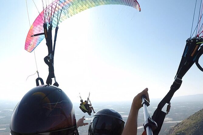 Half day private paragliding experience - ADVENTURE FLIGHT - Why This Tour Offers Good Value