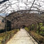 Half Day Private Tour in Florence - Key Points