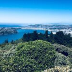Half day Private Tour of Dunedin City Highlights and Peninsula Scenery - Who Will Love This Tour?