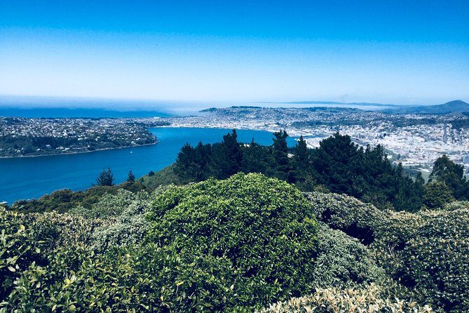 Half day Private Tour of Dunedin City Highlights and Peninsula Scenery - Who Will Love This Tour?