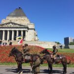 Half Day Private Tour of Melbourne City with Local guide - Why This Tour Could Be Perfect for You