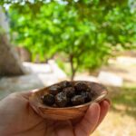 Half-Day Private Tour & Picnic in Real Cretan Countryside Retreat - Who Will Love This Tour?