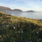 Half day private tours of the Isle of Man with a qualified Driver Guide - Practical Details and Tips