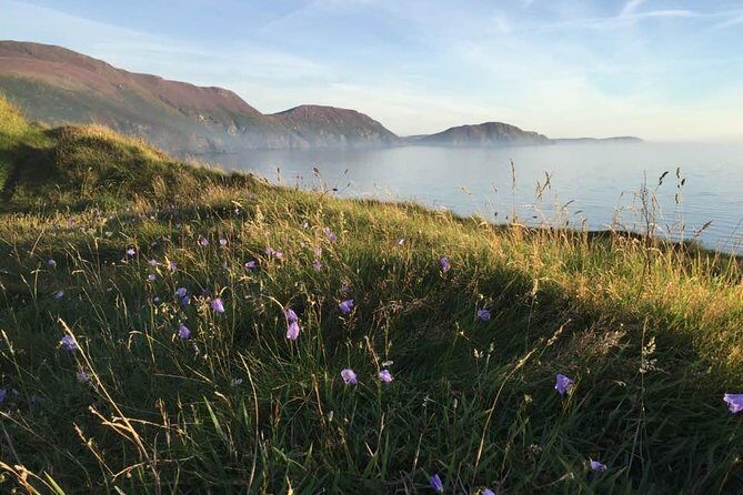 Half day private tours of the Isle of Man with a qualified Driver Guide - Practical Details and Tips