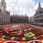 Half-Day Private Walking Tour in Brussels Old City - A Complete Look at the Half-Day Private Walking Tour in Brussels Old City