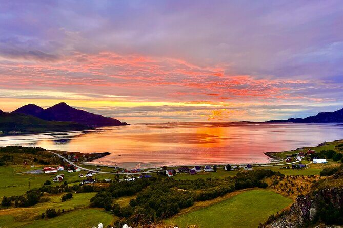 Half-Day Scenic Wildlife & Photographic Fjord Tour. - Frequently Asked Questions