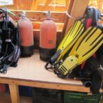 Half-day Scuba Diving Experience in Oludeniz - Who Should Book This Tour?
