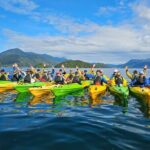 Half day Sea Kayak Guided Tour from Picton - Detailed Itinerary and Experience Breakdown