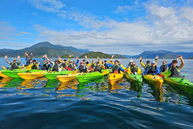 Half day Sea Kayak Guided Tour from Picton - Detailed Itinerary and Experience Breakdown