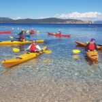 Half Day Sea Kayak Trip - Who Should Choose This Experience?