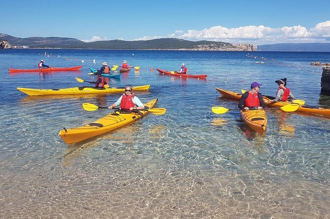 Half Day Sea Kayak Trip - Who Should Choose This Experience?
