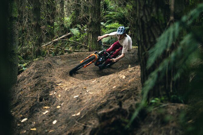 Half-Day Self-Guided Mountain Bike Journey through Whakarewarewa Redwood Forest - Why We Think This Tour Offers Great Value