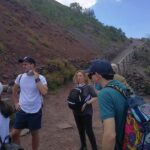 Half day shore excursion to Mount Vesuvius (2 hours) - Who Should Book This Tour?