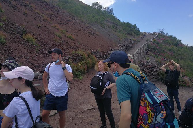 Half day shore excursion to Mount Vesuvius (2 hours) - Who Should Book This Tour?