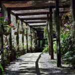 Half Day Sightseeing - Wonders of Nadi Tour - Final Thoughts: Is It Worth It?