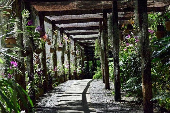 Half Day Sightseeing - Wonders of Nadi Tour - Final Thoughts: Is It Worth It?