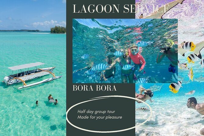 Half-Day Small-Group Cruise in Bora Bora with Snorkelling - FAQ