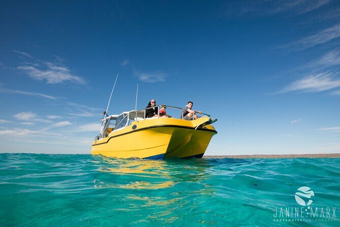 Half Day Snorkel 2.5hr Turtle Tour on the Ningaloo Reef, Exmouth - Who Will Love This Tour?
