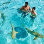 Half Day Snorkeling in Moorea - Final Thoughts on the Half Day Snorkeling in Moorea