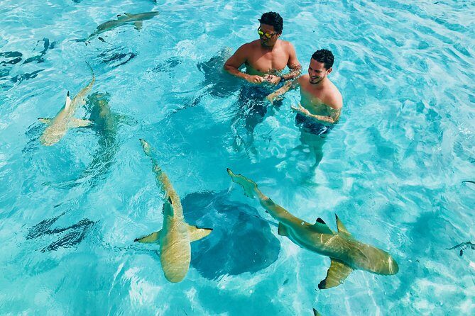 Half Day Snorkeling in Moorea - Final Thoughts on the Half Day Snorkeling in Moorea