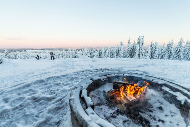 Half Day Snowshoe Hiking Adventure in Levi Lapland - An In-Depth Look at the Snowshoeing Adventure