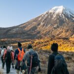Half Day Tongariro Alpine Guided Group Walk - The Sum Up: Who Is This Tour Perfect For?