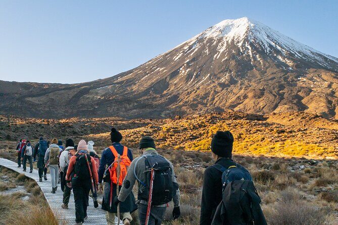 Half Day Tongariro Alpine Guided Group Walk - The Sum Up: Who Is This Tour Perfect For?