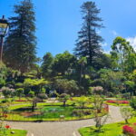 Half-day tour: Angra do Heroísmo City Tour - A Deep Dive Into the Tour Experience