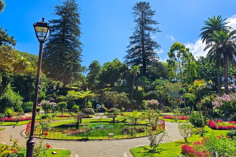 Half-day tour: Angra do Heroísmo City Tour - A Deep Dive Into the Tour Experience