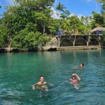 Half Day Tour at Eton Beach and Blue Lagoon with Lunch at Turtles - Who Would Love This Tour?