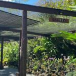 Half Day Tour in Nadi - The Bottom Line