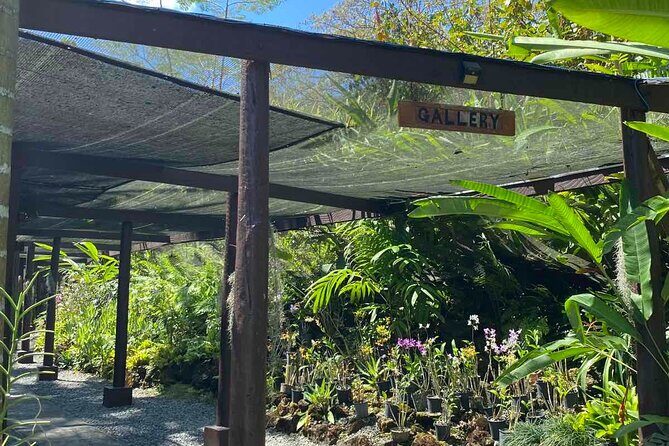 Half Day Tour in Nadi - The Bottom Line