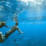 Half Day Tour lagoon discovery marine fauna flora small group - Frequently Asked Questions