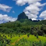 Half-Day Tour of Moorea Island in a Small Group - Frequently Asked Questions