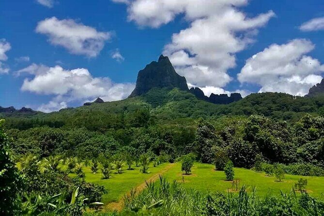 Half-Day Tour of Moorea Island in a Small Group - Frequently Asked Questions